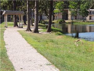 Lake Front Apartments