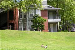 Willows at Wright Island Apartments