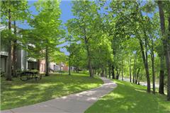 Willows at Wright Island Apartments