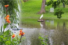 Willows at Wright Island Apartments