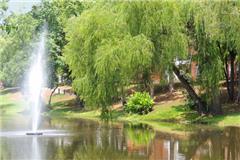 Willows at Wright Island Apartments